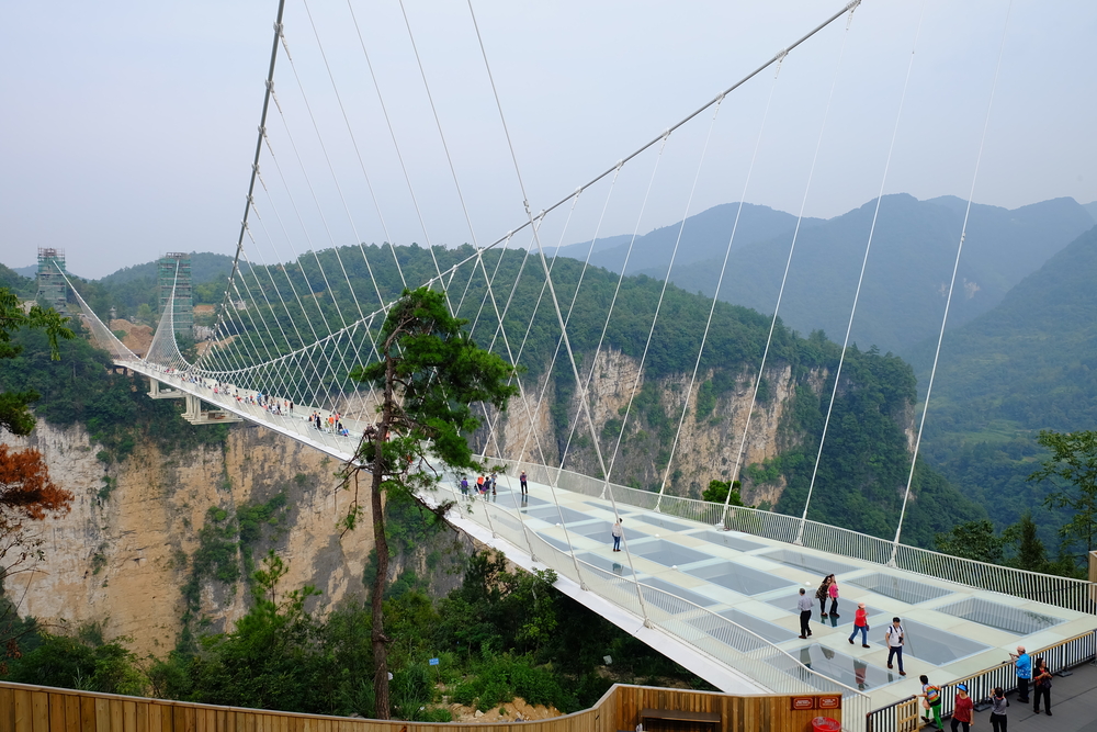 Haohan Bridge