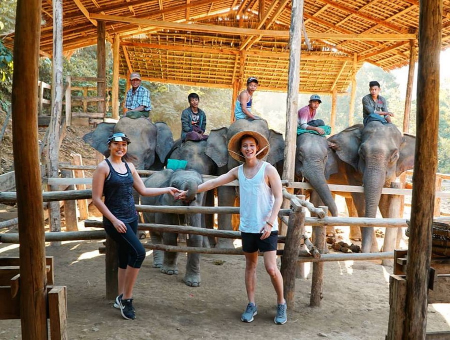 Ta La Nal Elephants Camp in Mynamar, 5 elephants