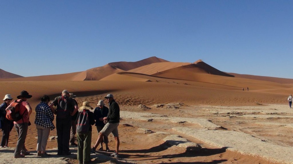 bunnik tours of new zealand