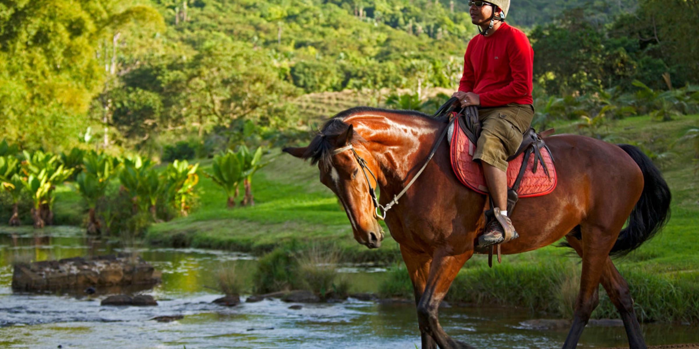 Outrigger Mauritius ups its eco tourism game Asia Travel Log