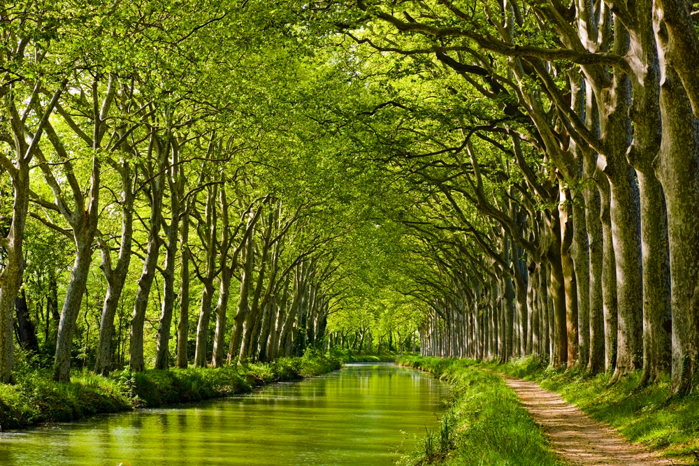 Canal du Midi in France