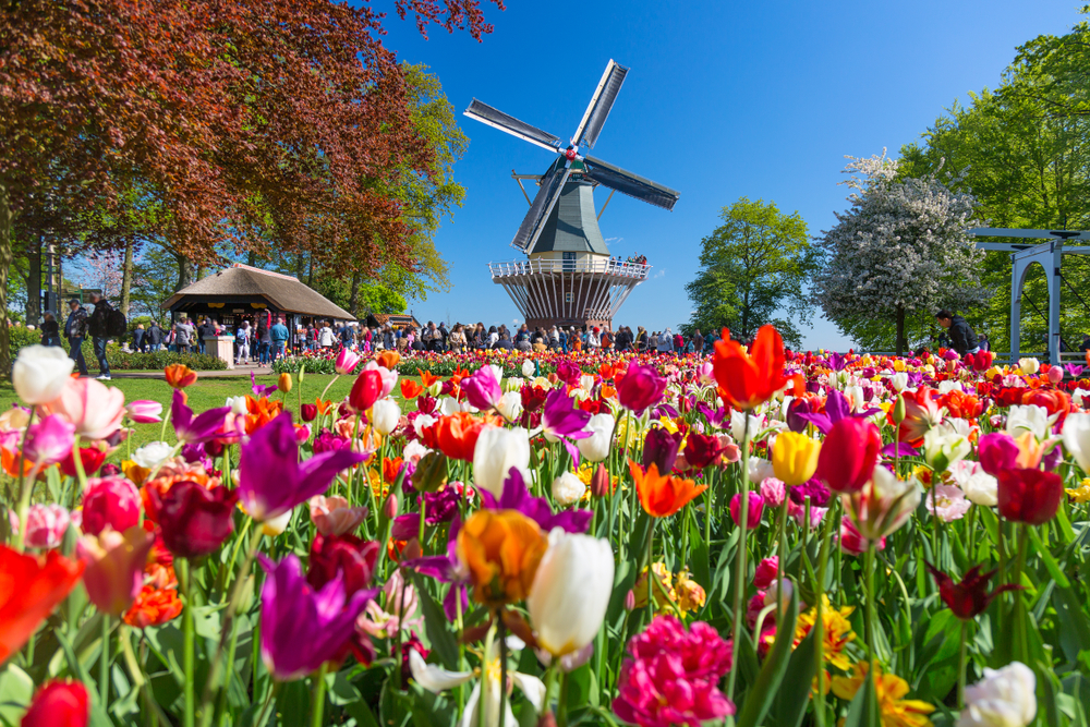 Keukenhof Gardens