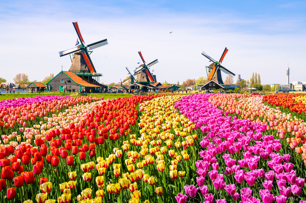 Keukenhof, Holland