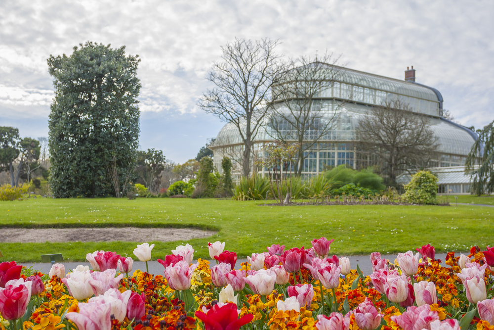 National Botanic Gardens in Glasnevin