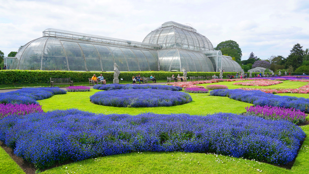 The royal botanic gardens