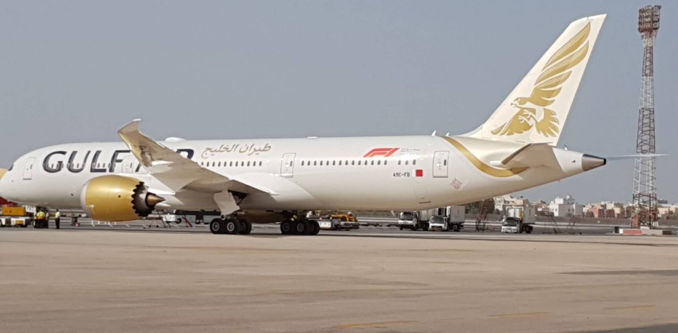 Gulf air quarantine package