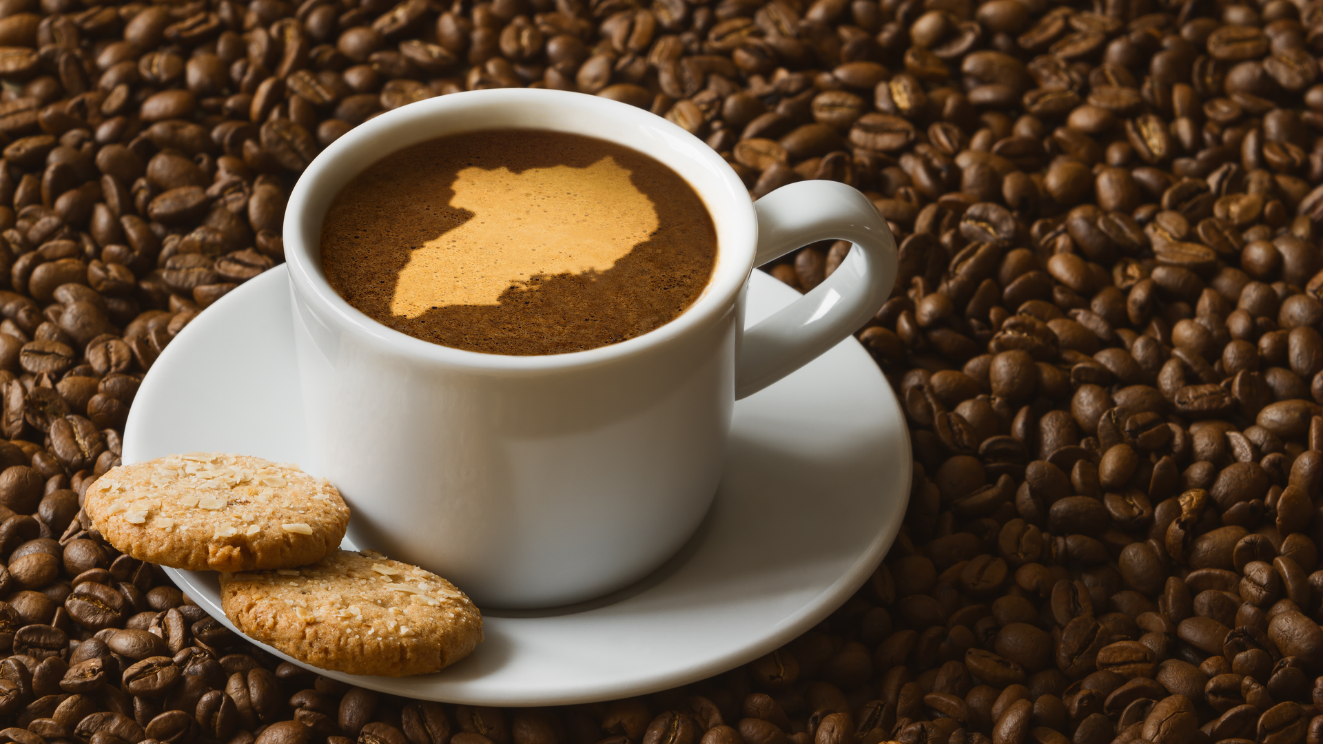 uganda coffee tour