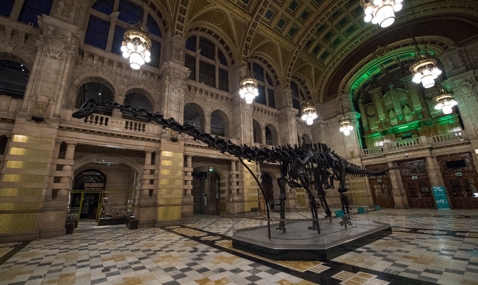 Dippy the dinosaur is coming to Cardiff