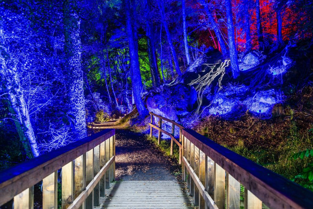The Event - The Enchanted Forest