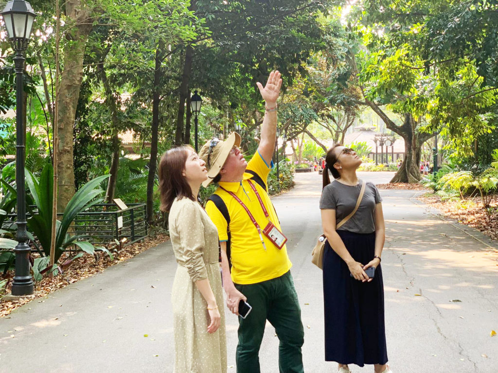 walking tour guide singapore