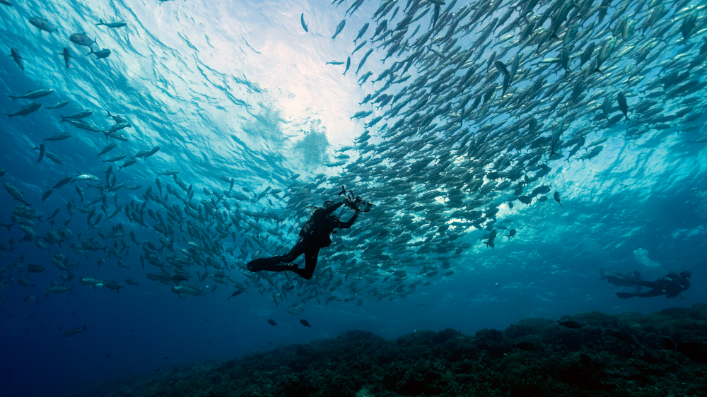 best-diving-sites-philippines