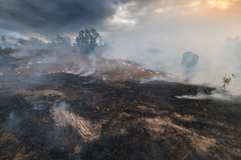 Australia wildfire