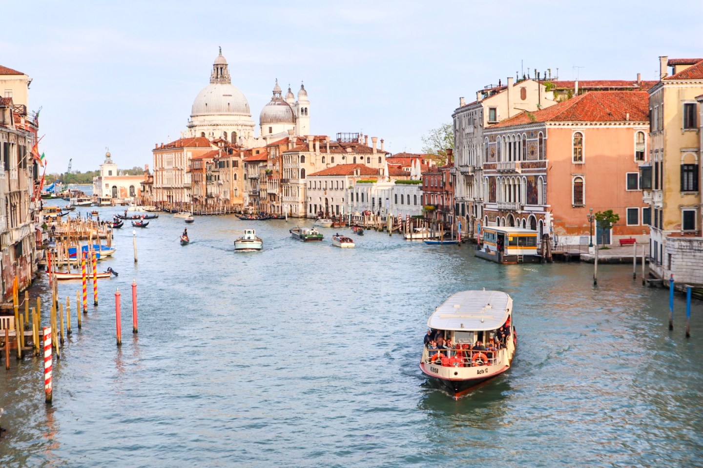 Together with greece, it is acknowledged as the birthplace of western culture. Italy . Italy Opens To International Tourism Within The Eu