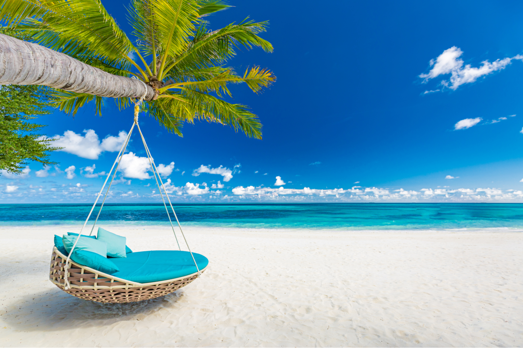 Visit Maldives - Experiences > The Sea of Stars in the Sunny Side of Life