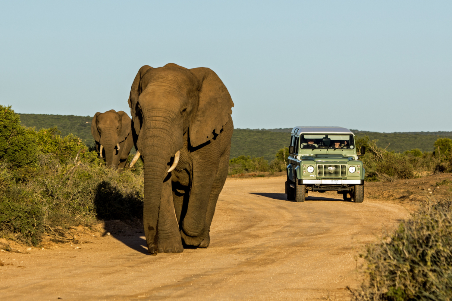 current tourism trends in south africa