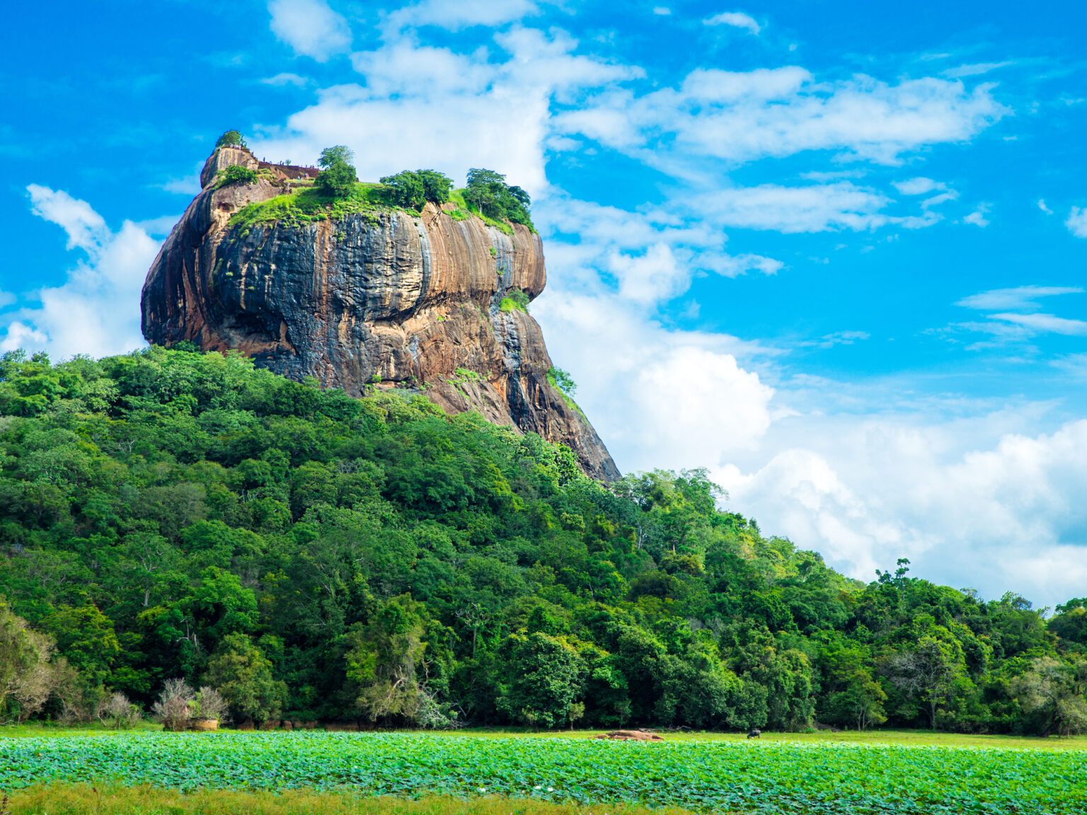sri-lanka-to-welcome-back-tourists-from-21-january-laptrinhx-news