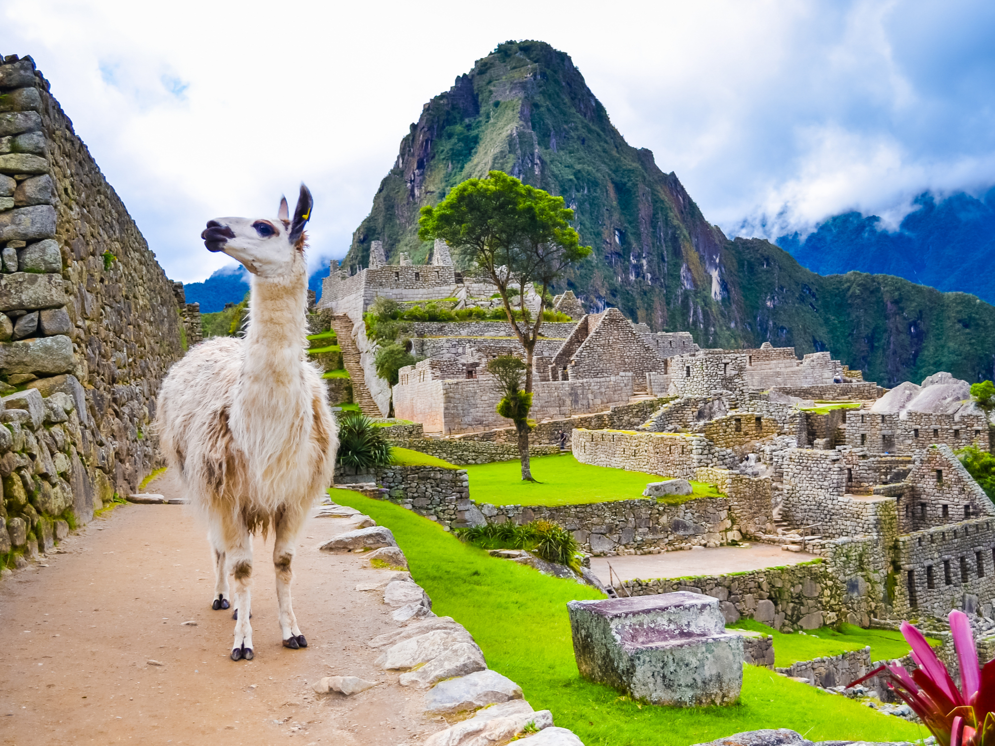 Remarkable Website - Incas Architecture Will Help You Get There