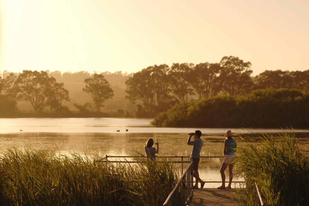 Birdwatching on the Murray River