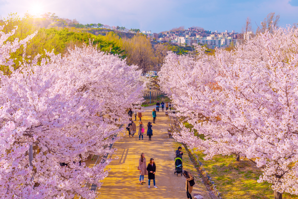 Travel to Seoul, South Korea in these six sites post-COVID era