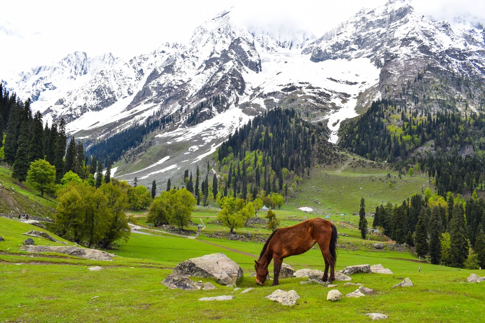 15 Unusual Destinations Kashmir