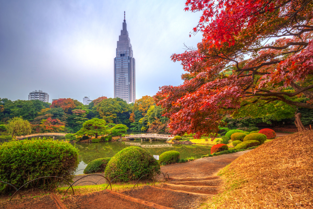 Momijigari Where to enjoy the red autumn leaves in Tokyo