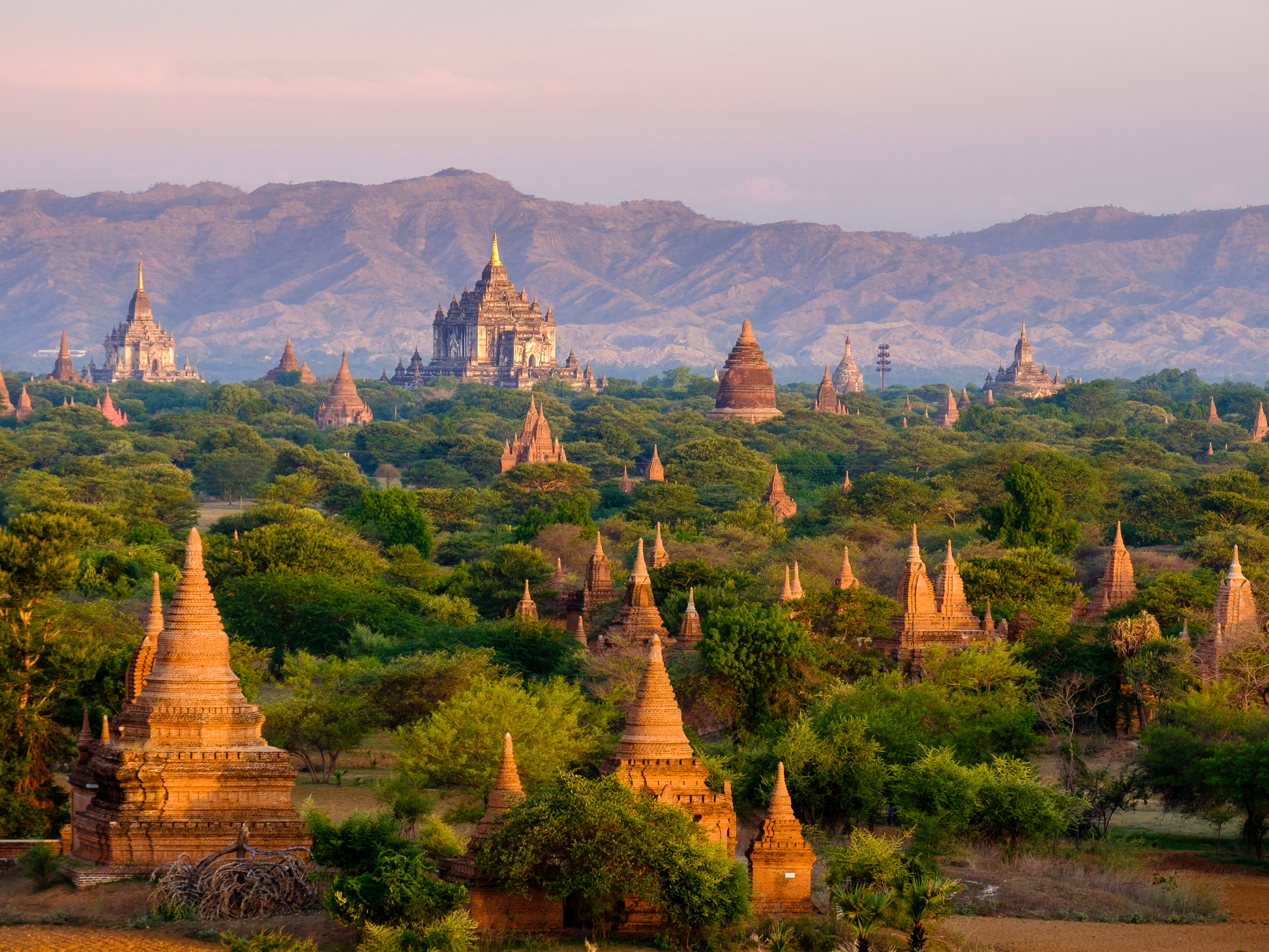 Myanmar To Resume International Travel Next Year