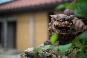 Learn more about Okinawa's nature and culture in Visit Okinawa's latest videos