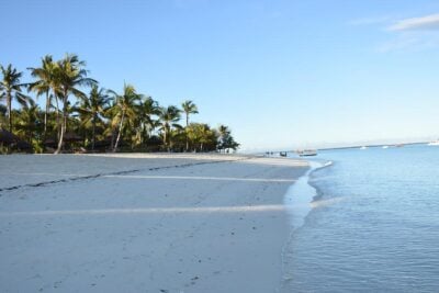 Zanzibar Set for Grand Africa Week Celebrations in May 8 image courtesy of Robert Cisler from Pixabay e1651193402574