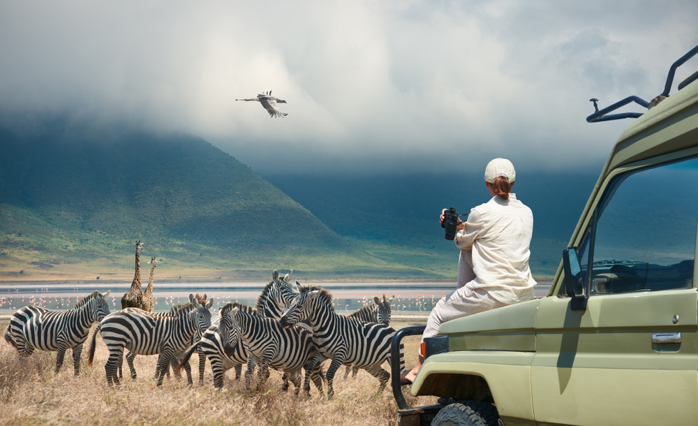 International tourism on steady recovery path, says UNWTO 8 shutterstock 1487888522