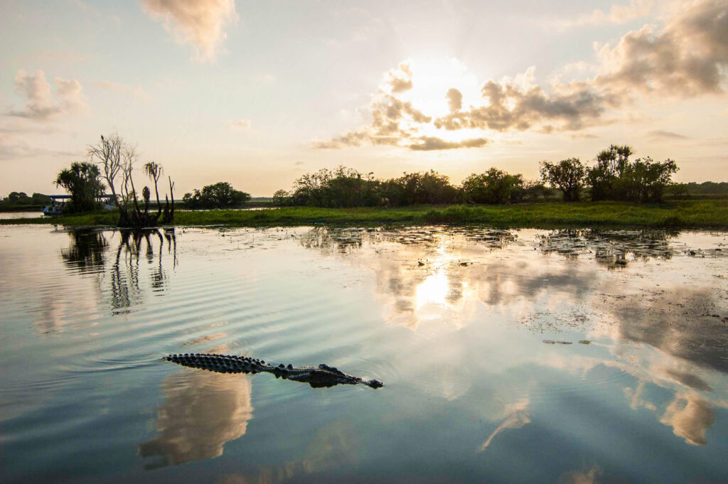 Australian Geographic Our Country Immersive Experience Kakadu