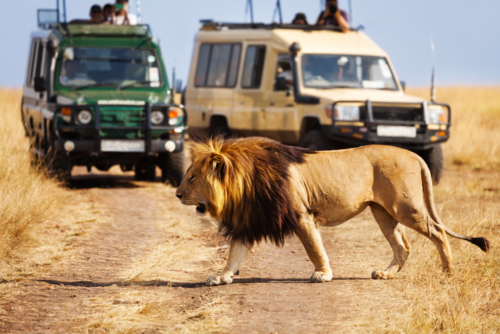 Maasai Mara National Reserve