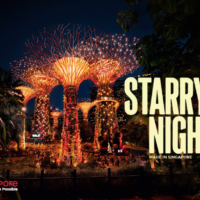 Starry Nights