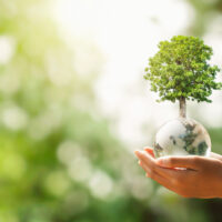 Hand,Holding,Glass,Globe,Ball,With,Tree,Growing,And,Green