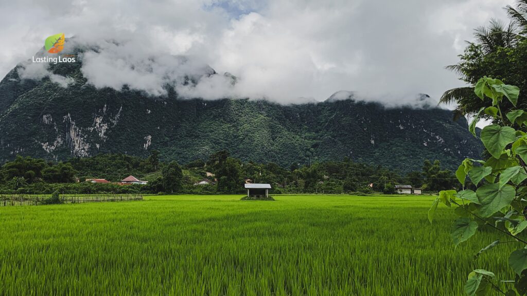 tourism sector in laos